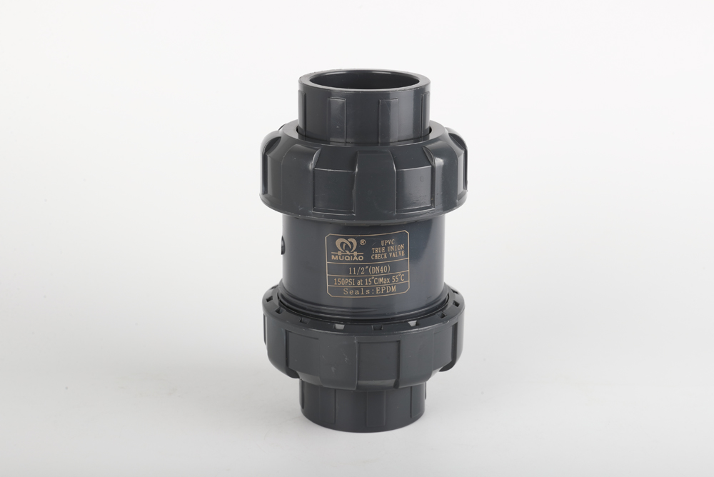 来宾双由令止回阀